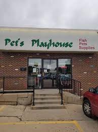 Pets Playhouse Strength of the Factory