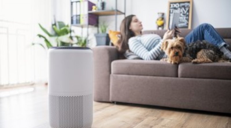 Best Air Purifiers for Pet